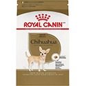 Breed Health Nutrition Chihuahua