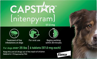 Capstar Flea Oral Treatment for Dogs