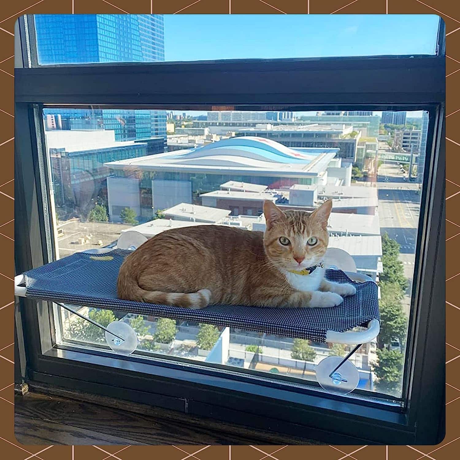 Cat Window Perch for Your Beloved Cats