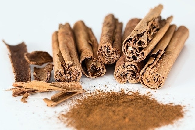 Can Dogs Eat Cinnamon