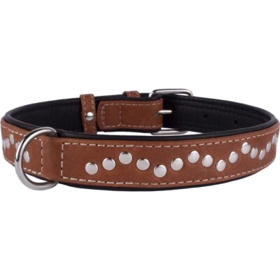 CollarDirect Leather Dog Collar