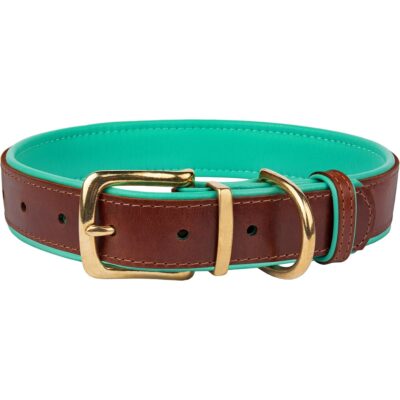 CollarDirect Soft Padded Leather Dog Collar 
