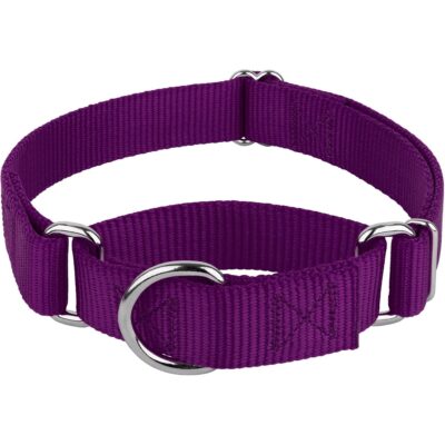Country Brook Design Heavy-Duty Nylon Martingale Collar