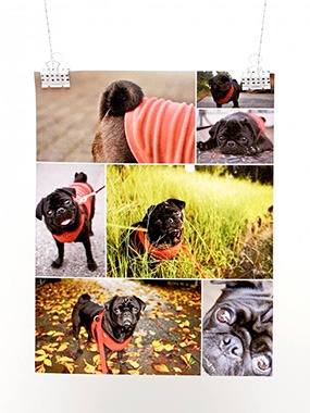 Custom Rolled Canvas-Collage