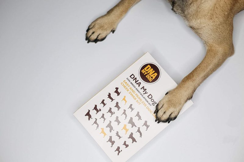 DNA TEST KIT FOR DOGS