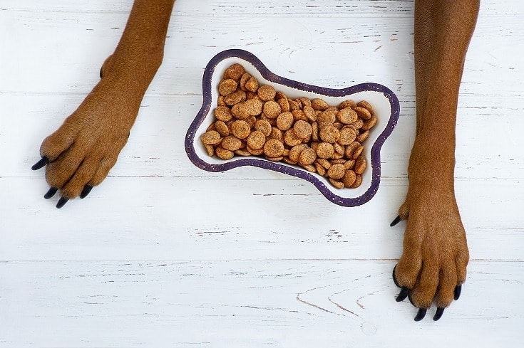 Dog Kibble with Paw