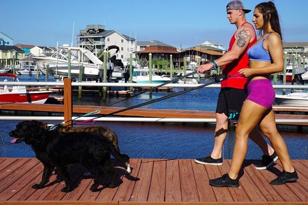 Dog Leash for Training