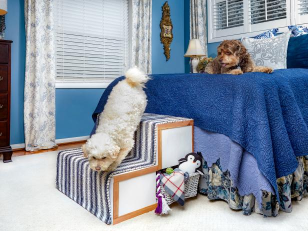Dog Stairs With Built-In Storage, From HGTV