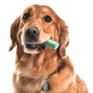 Dog with Oravet Dental Chews