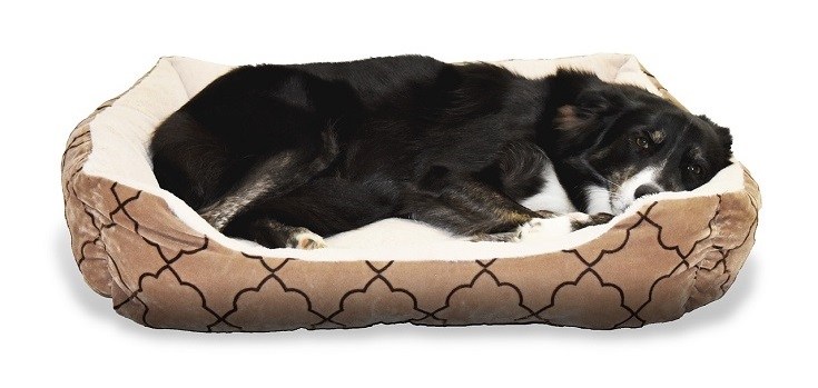 Dog Bed
