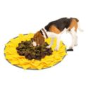 EXPAWLORER Snuffle Mat