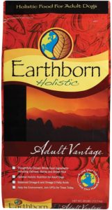 Earthborn Holistic Whole Grain Adult Vantage