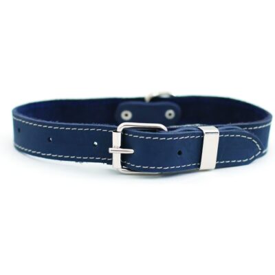 Euro-Dog Traditional Leather Dog Collar