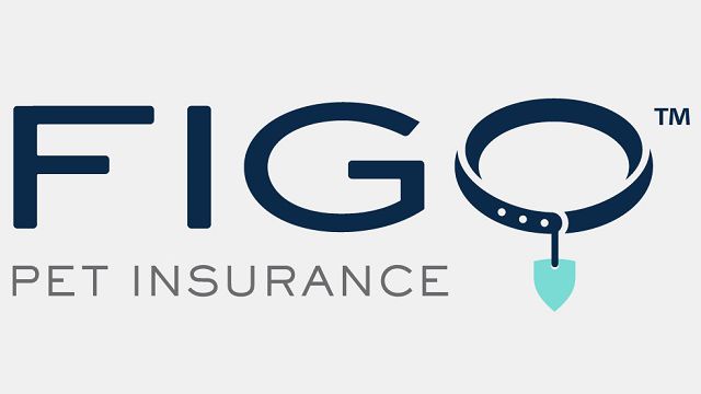 figo pet insurance