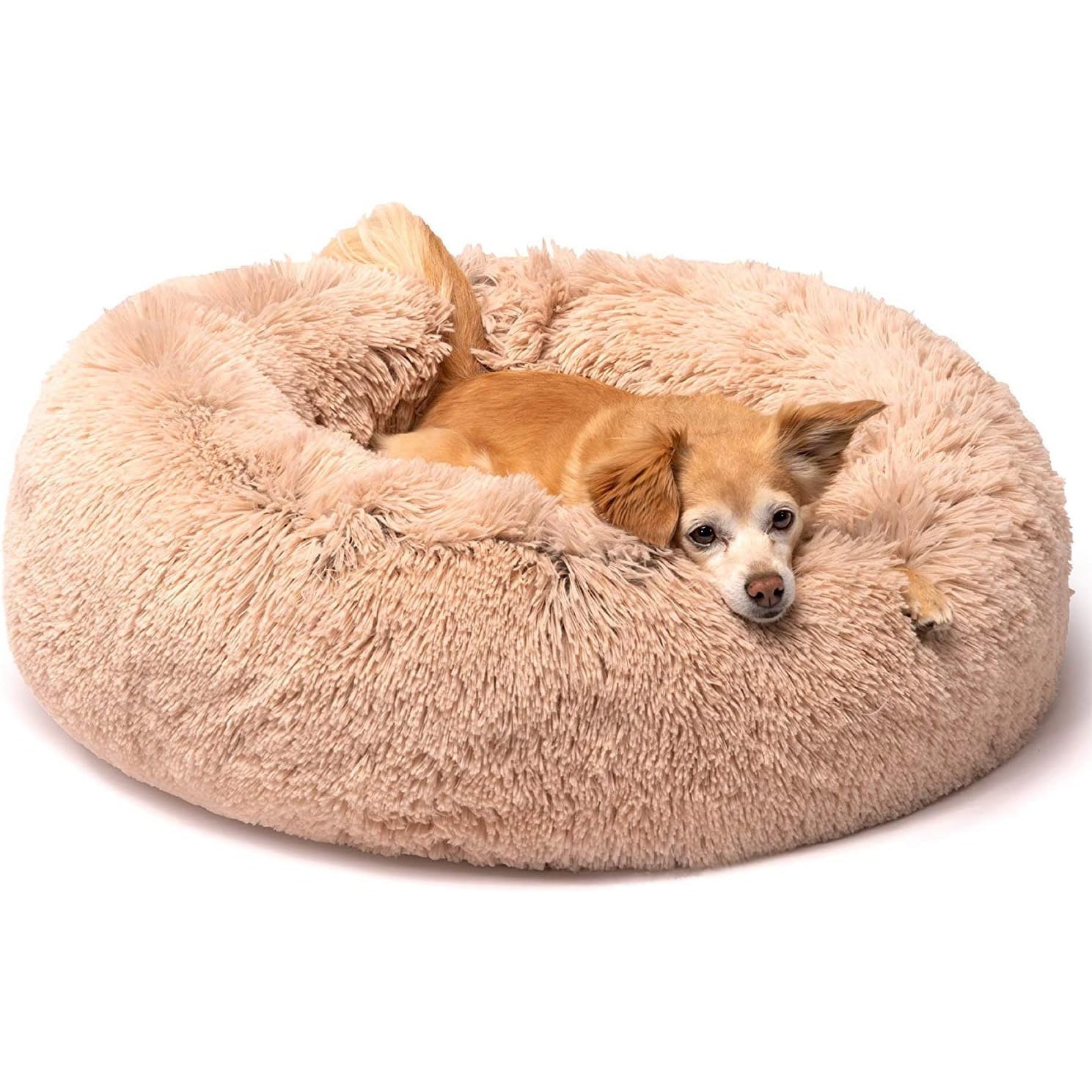 Friends Forever Donut Dog & Puppy Bed
