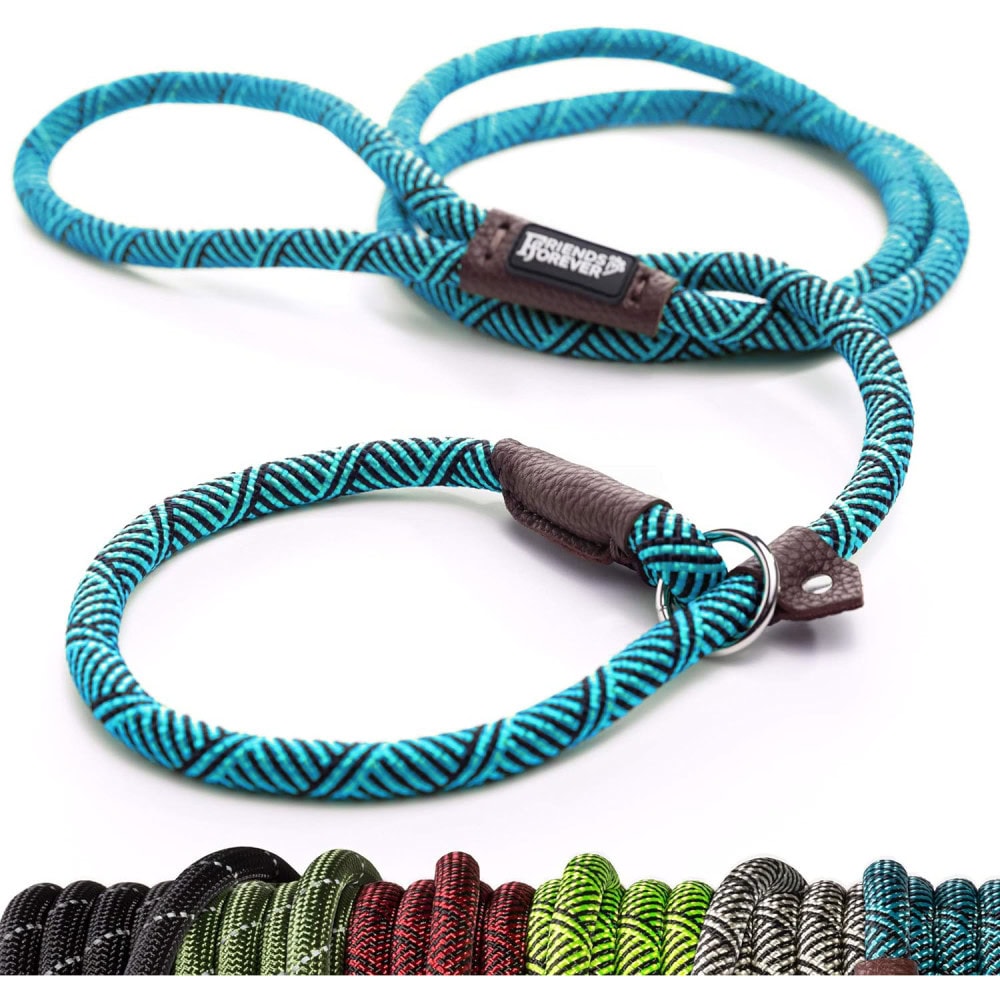Friends Forever Durable Dog Rope Leash