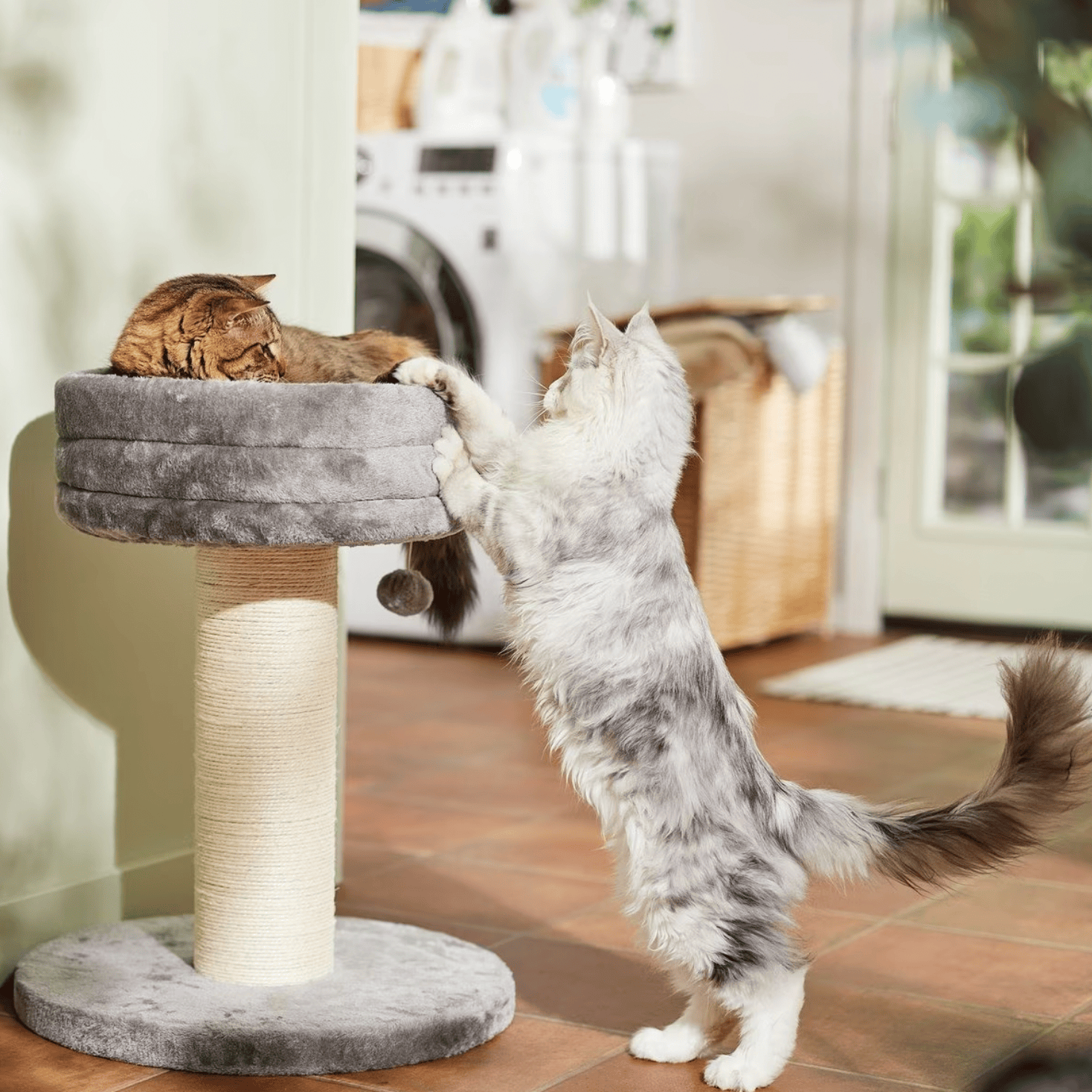 Frisco 24.8-in Heavy Duty Faux Fur Cat Tree