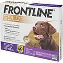 Frontline Gold