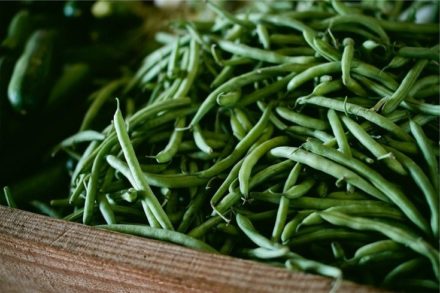 Can Guinea Pigs Eat Green Beans? Vet-Approved Nutrition Facts Hepper