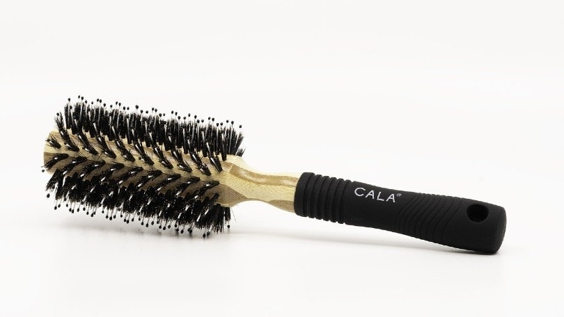 Hairbrush