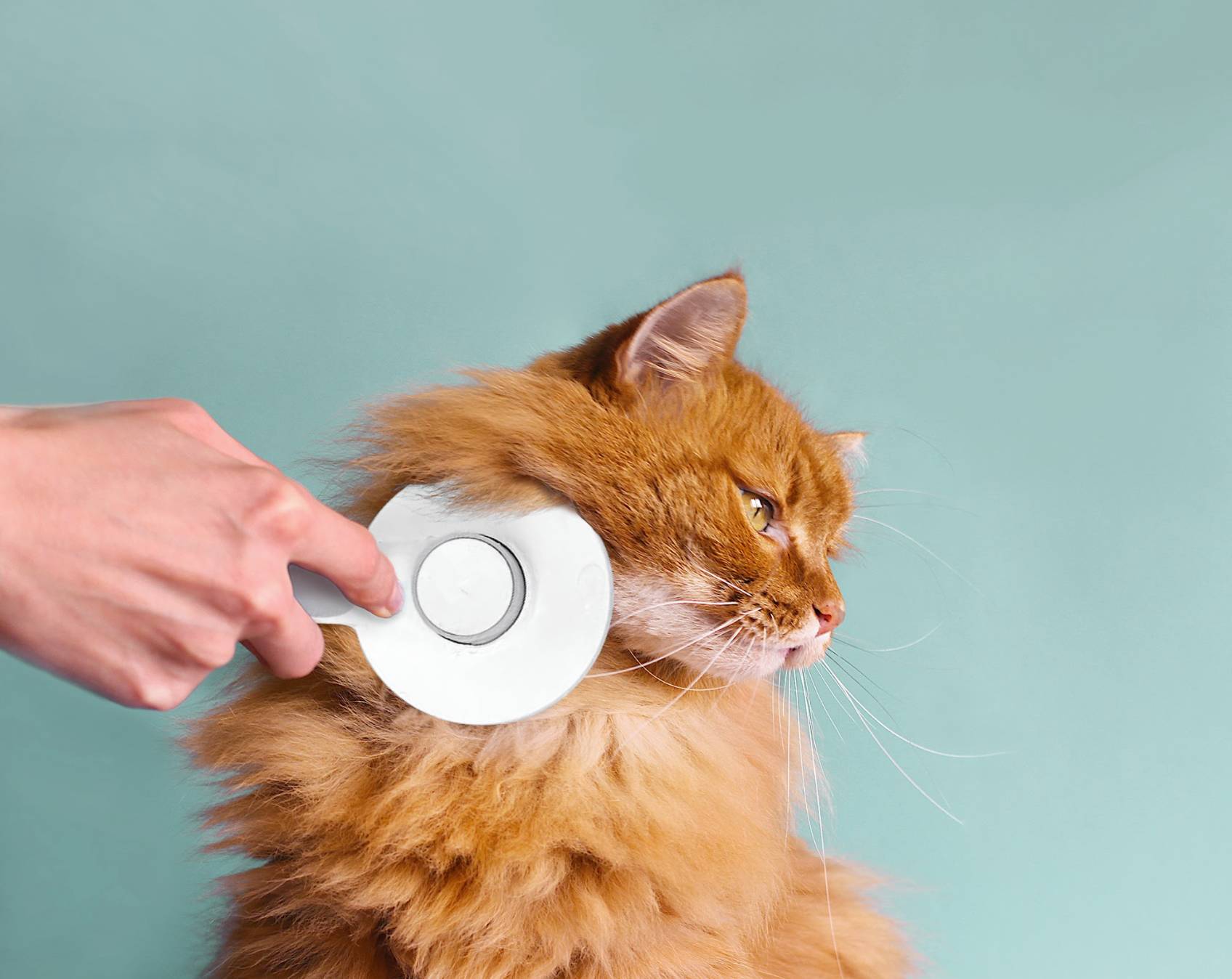 Hepper Deshedding Cat Brush