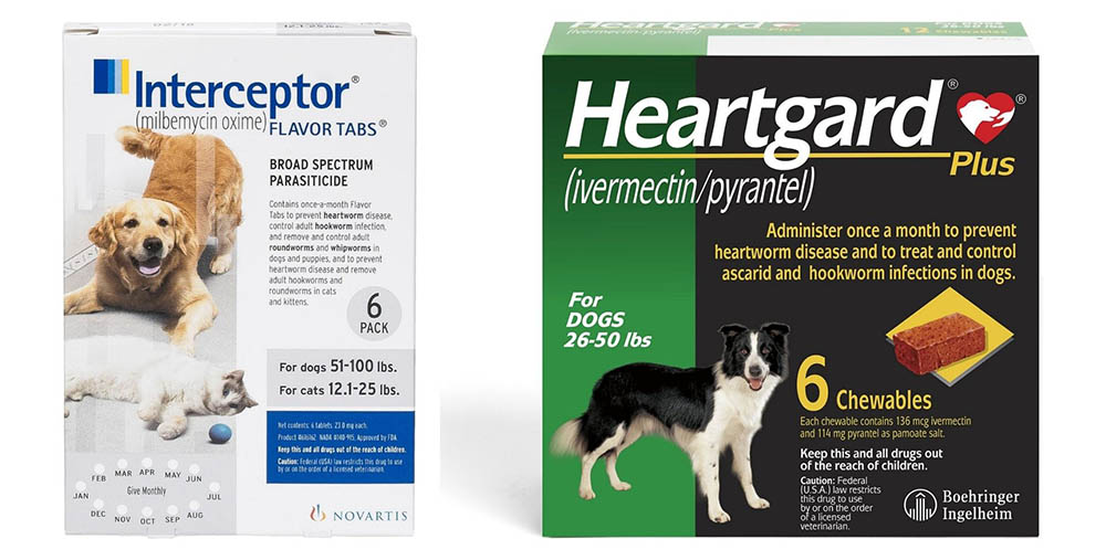 Interceptor vs Heartgard Plus