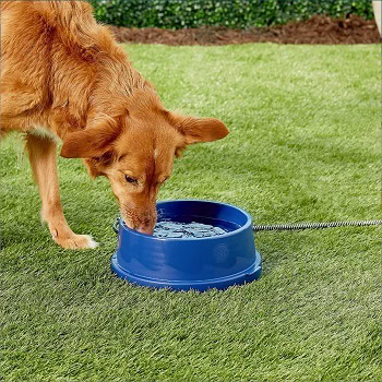 K&H Pet Products Temperature Controlled Bowls