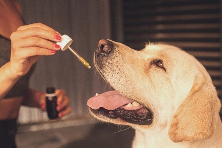 Lab taking CBD