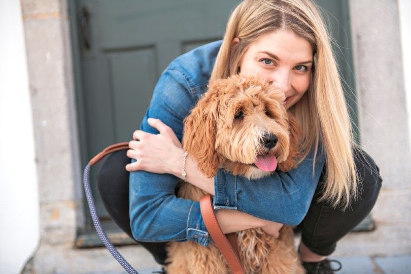 Labradoodle dog and woman outside on balcony