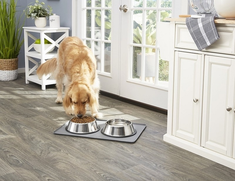 Large Dog Bowls