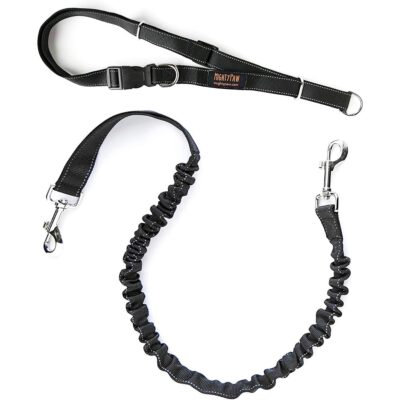 Mighty Paw Hands-Free Nylon Bungee Dog Leash