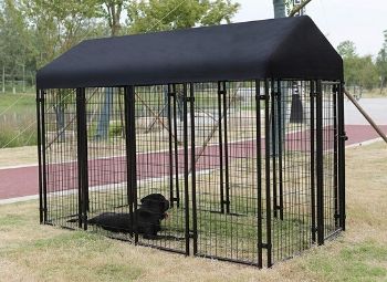 Outdoor Dog Kennel
