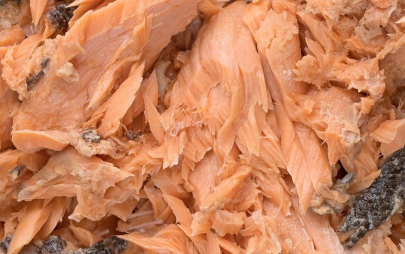Pacific canned pink salmon_Louella938_shutterstock