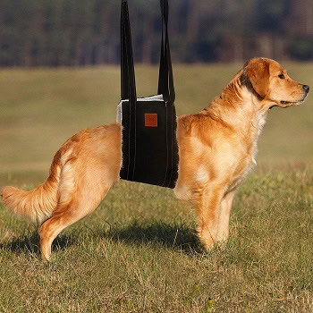 Pet Friendz Dog Lifting Harness for Rear Legs - Dog Sling for Back Legs