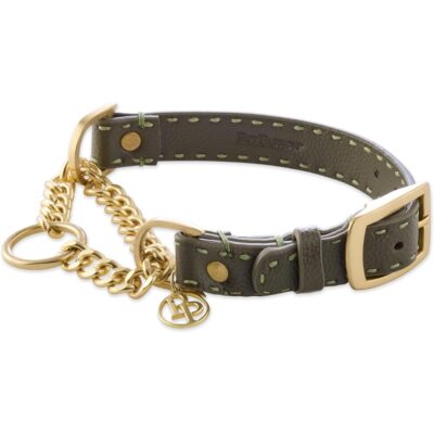 Pet Passion Rein Vegan Leather Chain Martingale Collar