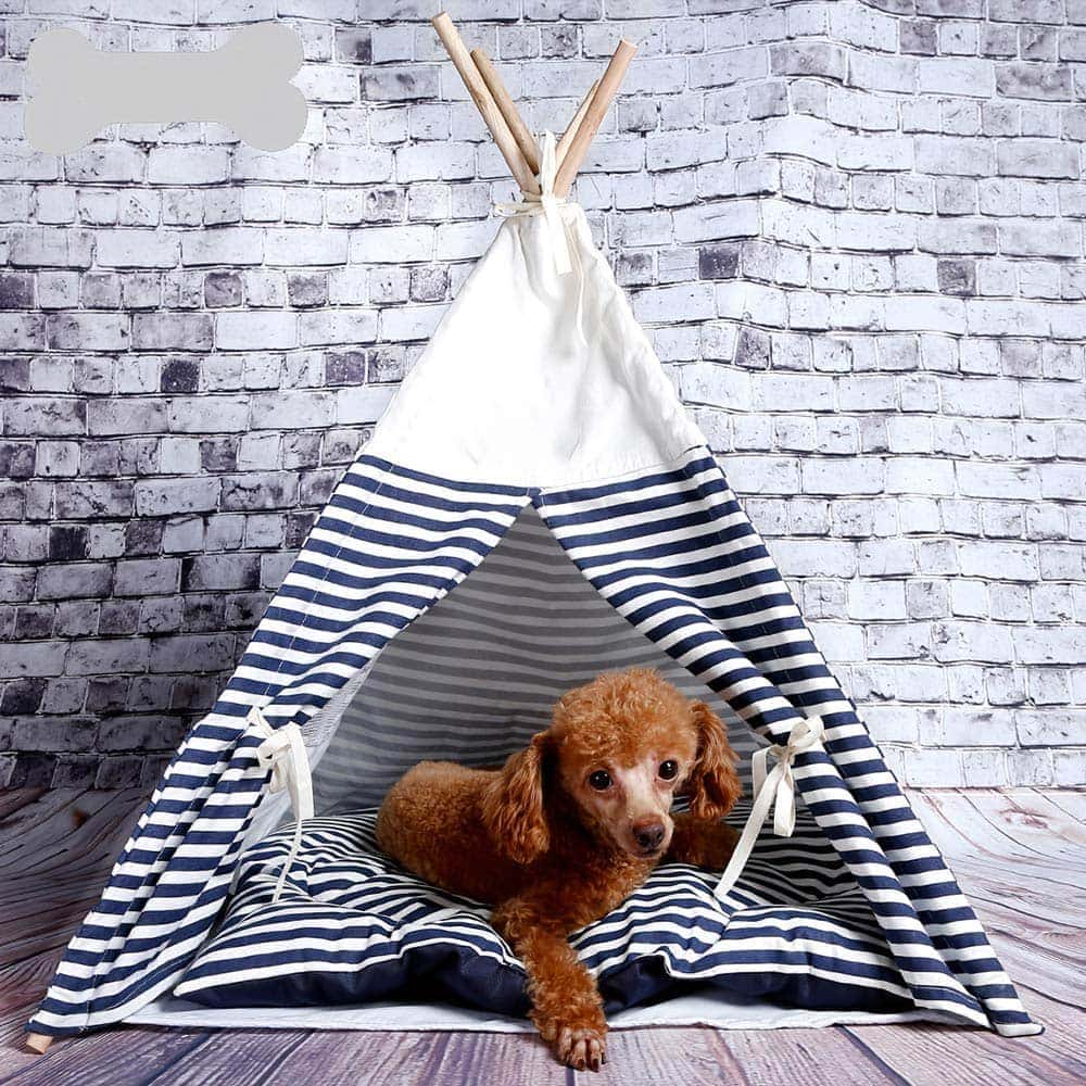 A brown-colored dog sitting inside a teepee bed