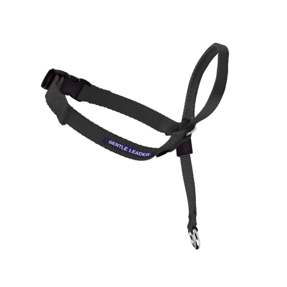 PetSafe Headcollar
