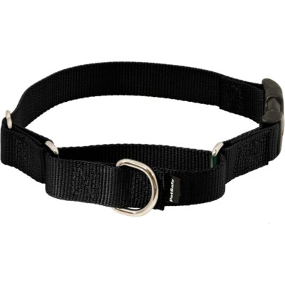 PetSafe Quick Snap Buckle Collar