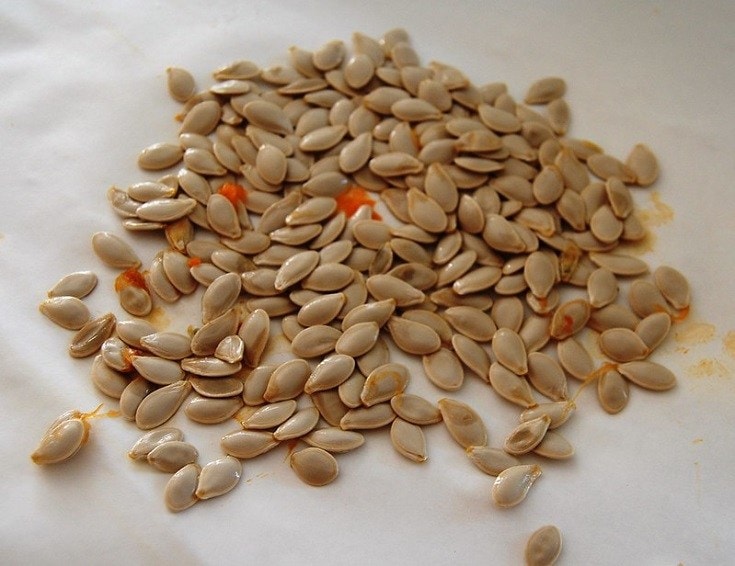 Pumpkin Seeds