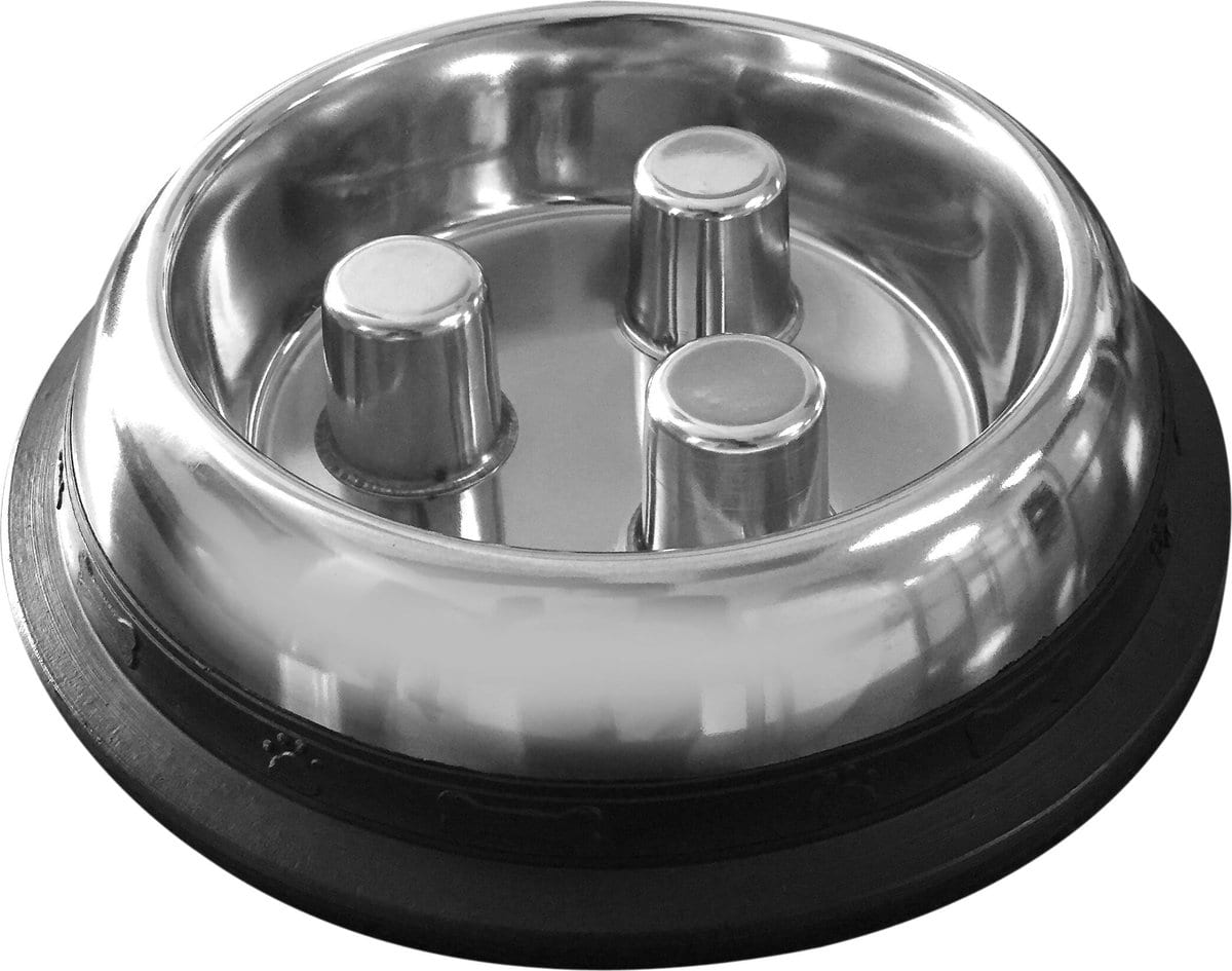 QT Dog Brake-Fast Slow Feeder Bowl