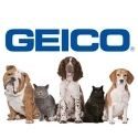 GEICO Pet Insurance