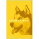 Kirkland Signature Nature’s Domain Yellow