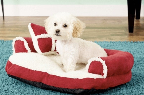 Aspen Pet Bolster Cat and Dog Bed