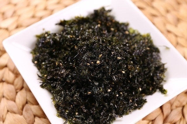 Can Dogs Eat Seaweed