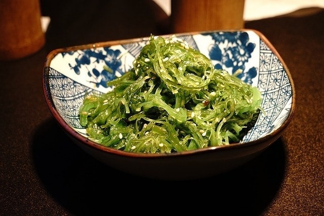 Can Dogs Eat Seaweed
