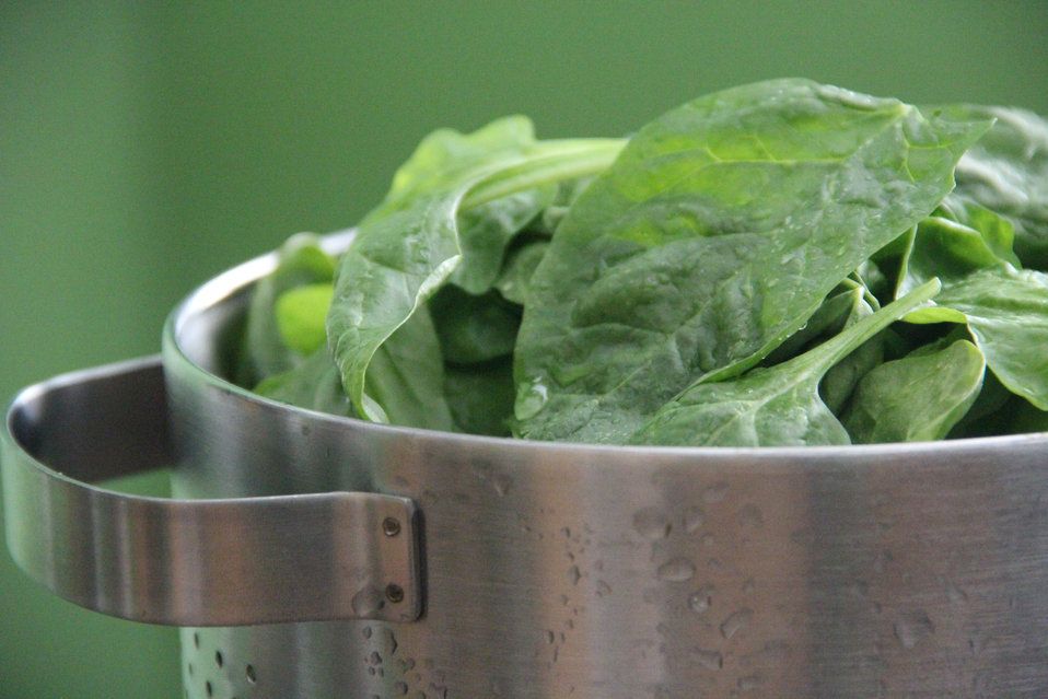 Spinach in a colander