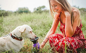 Water Bottle-Highwave-AutoDogMug-Amazon