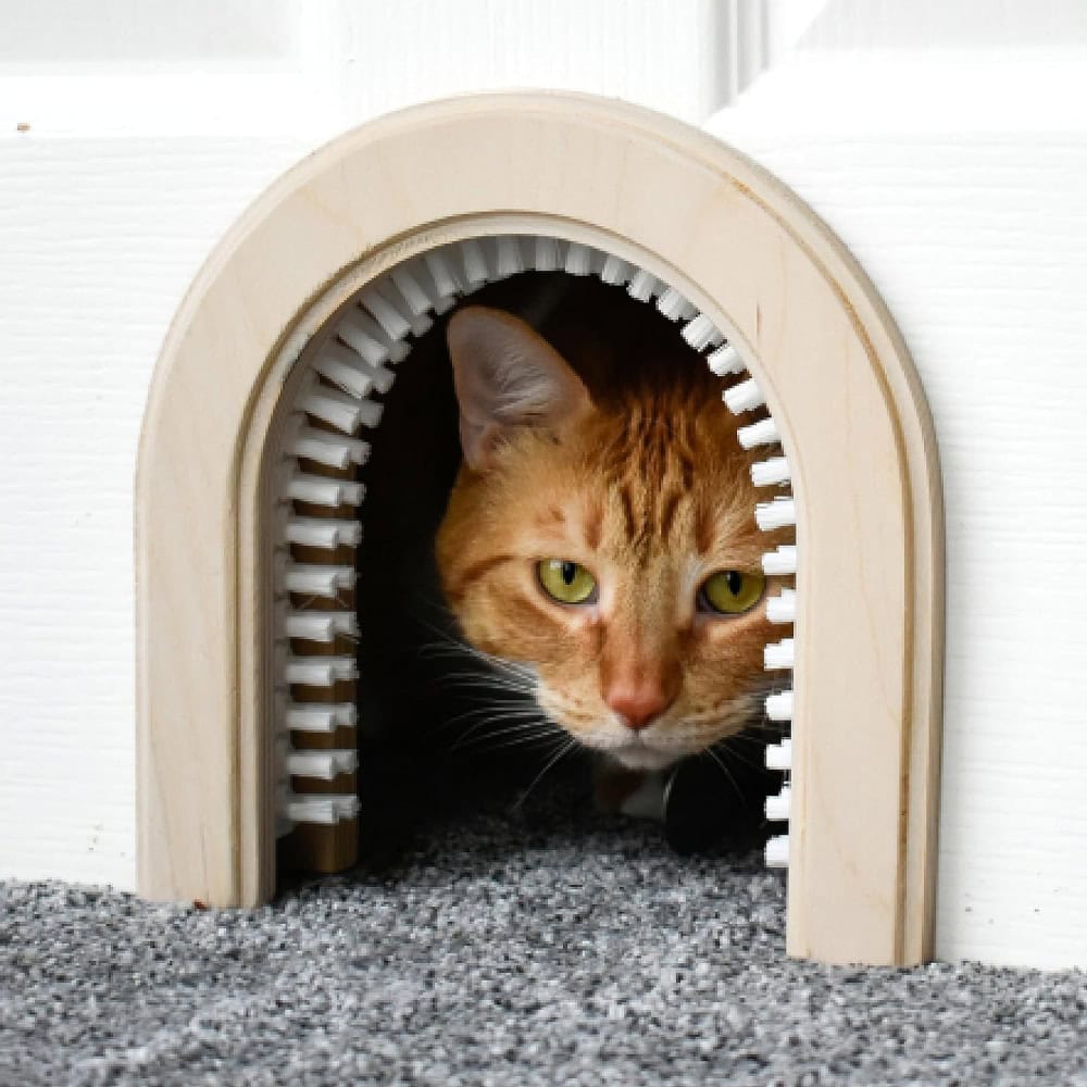 Cathole Cat Door with Brush
