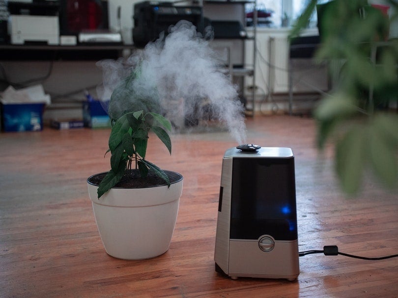 air purifier in home