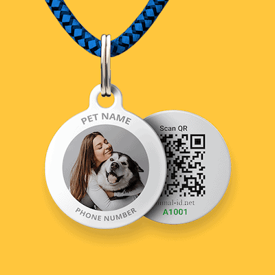 animal-id QR code pet tag